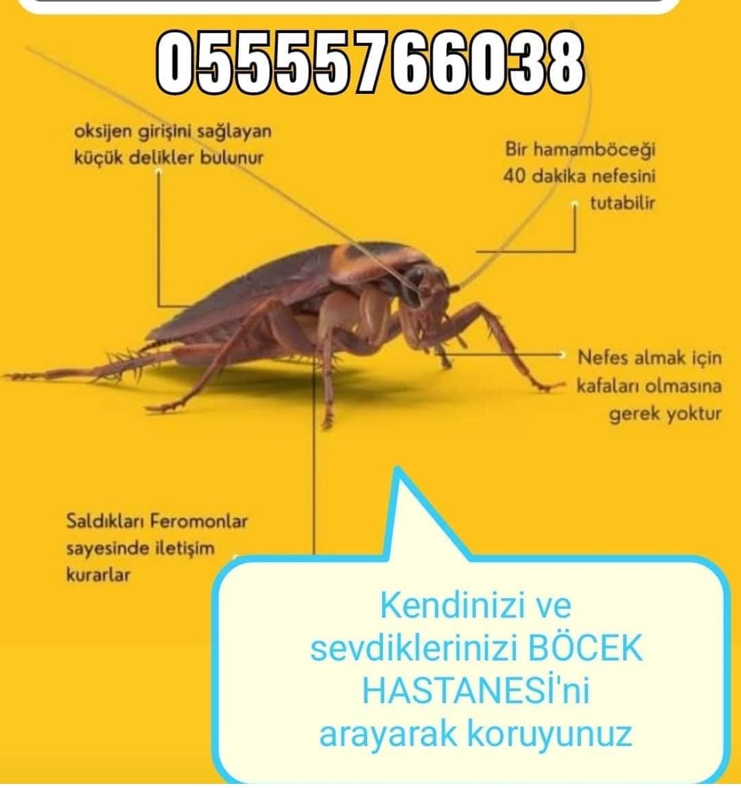 Manisa Jel İlaçlama